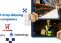Best Drop-shipping Companies for Entrepreneurs_11zon